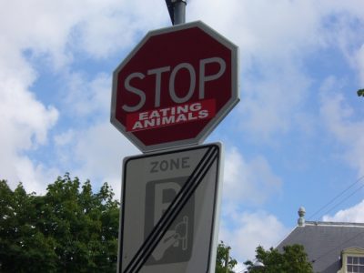Stop eating animals
