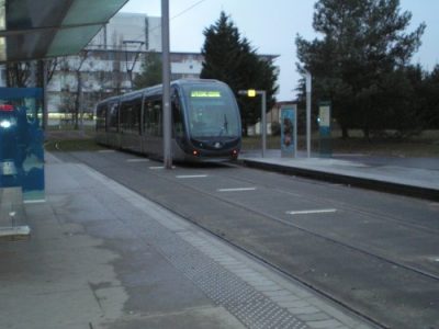 Bordo